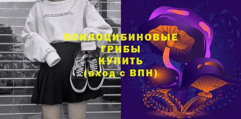 Псилоцибиновые грибы Psilocybe  Севастополь 